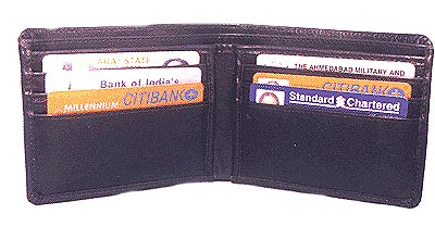 Bicompartment Wallet(2-100)